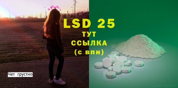 PSILOCYBIN Богородицк